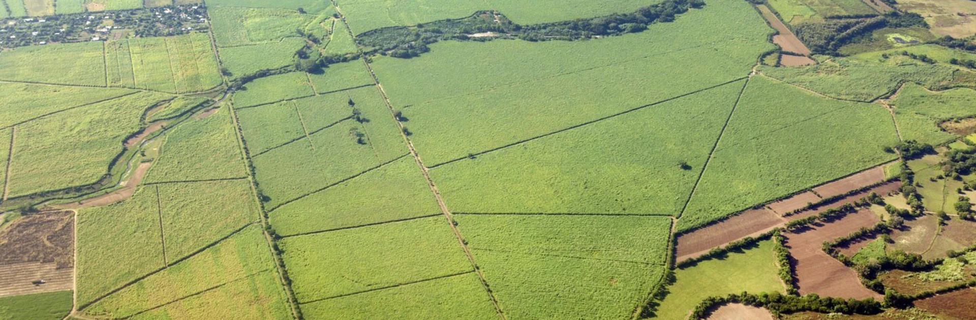 geo - overhead view of fields and terrain