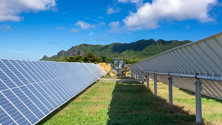 Waikoloa community